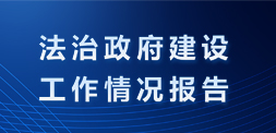 法治政府建設(shè)工作情況報(bào)告